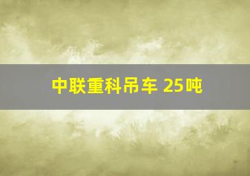 中联重科吊车 25吨